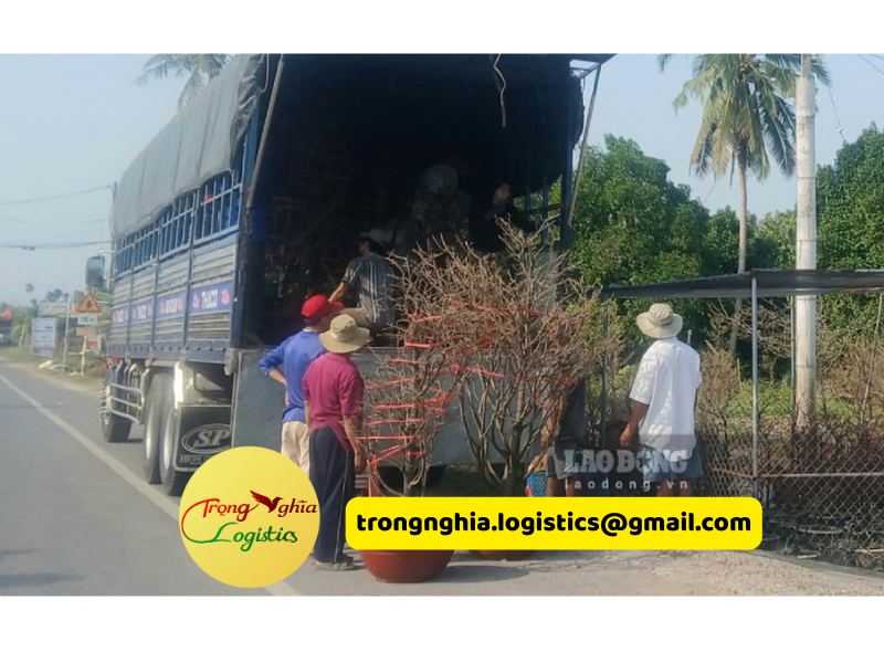 thuê xe tải chở hàng Tết