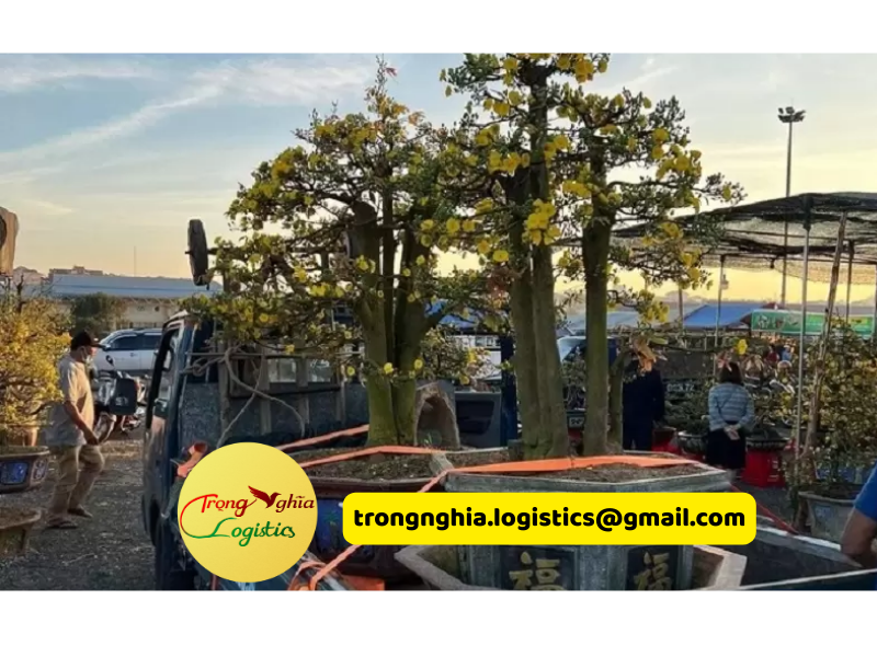 thuê xe tải chở hàng Tết