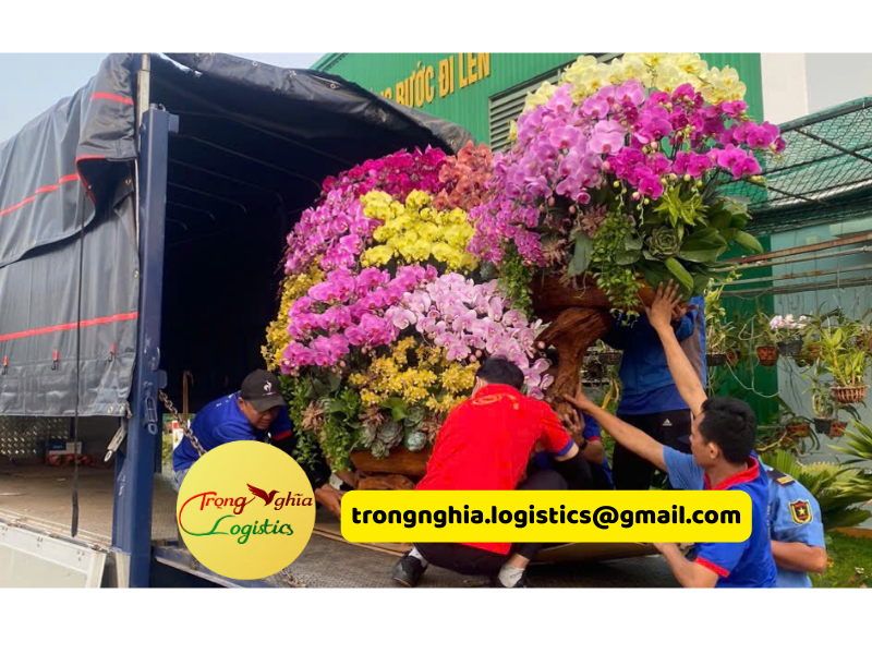 thuê xe tải chở hàng Tết